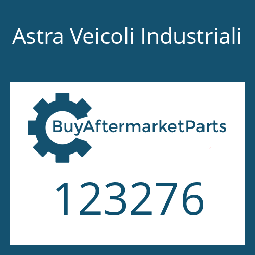Astra Veicoli Industriali 123276 - SNAP RING
