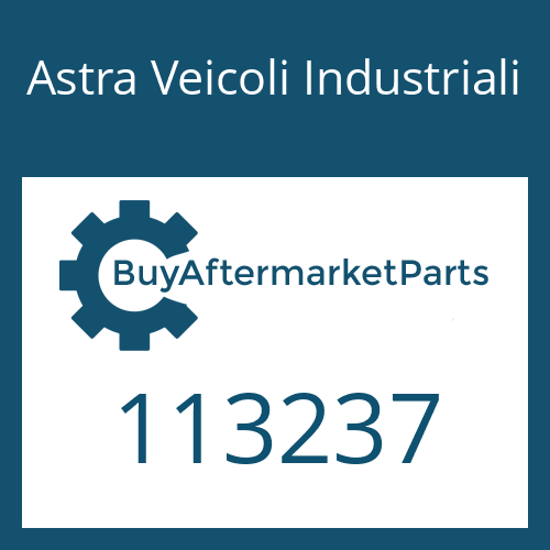 Astra Veicoli Industriali 113237 - GASKET