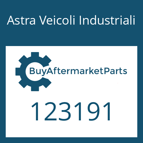 Astra Veicoli Industriali 123191 - INPUT SHAFT