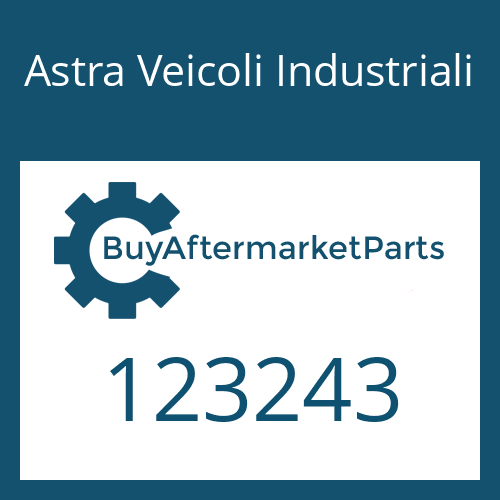 Astra Veicoli Industriali 123243 - QUILL SHAFT