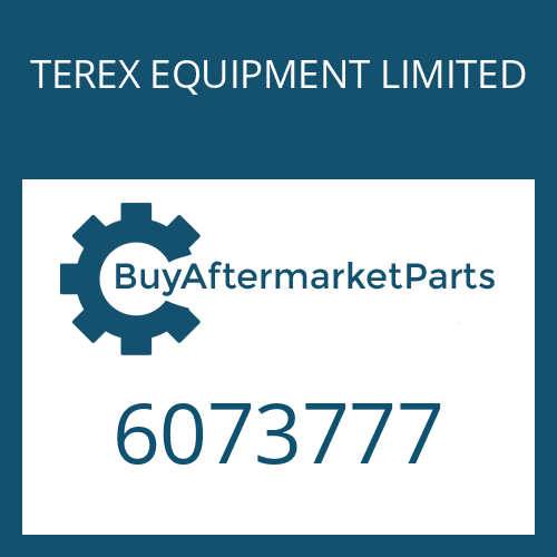 TEREX EQUIPMENT LIMITED 6073777 - O-RING
