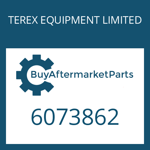 6073862 TEREX EQUIPMENT LIMITED AXIAL WASHER