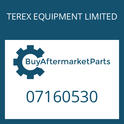 TEREX EQUIPMENT LIMITED 07160530 - SPRING WASHER