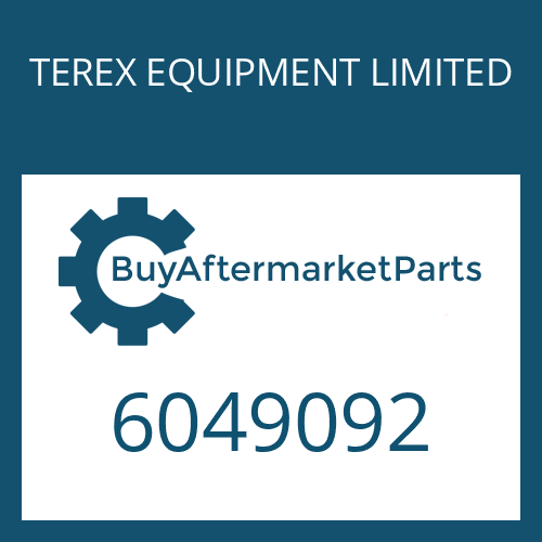 TEREX EQUIPMENT LIMITED 6049092 - O-RING
