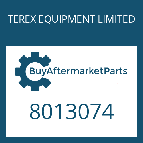 TEREX EQUIPMENT LIMITED 8013074 - SEALING RING