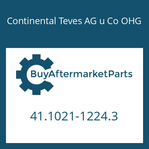 Continental Teves AG u Co OHG 41.1021-1224.3 - HEXAGON SCREW