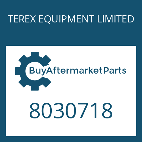 TEREX EQUIPMENT LIMITED 8030718 - WASHER