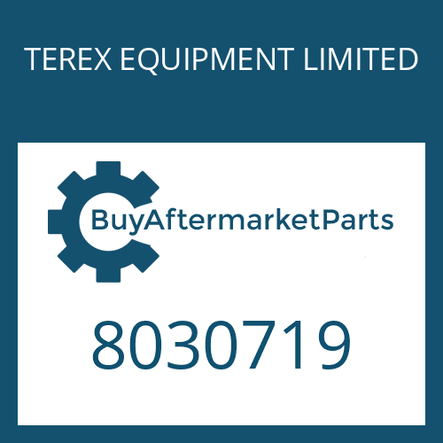 TEREX EQUIPMENT LIMITED 8030719 - WASHER