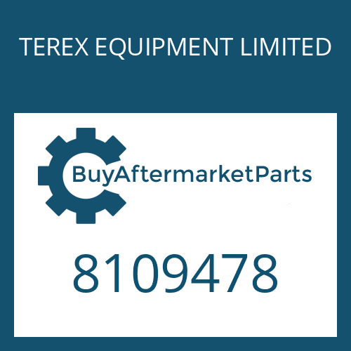 TEREX EQUIPMENT LIMITED 8109478 - WASHER