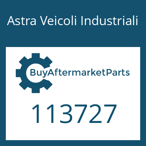 Astra Veicoli Industriali 113727 - THROTTLE SCREW