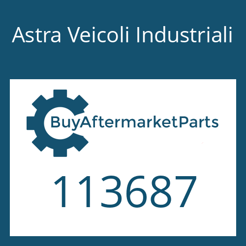 Astra Veicoli Industriali 113687 - GASKET