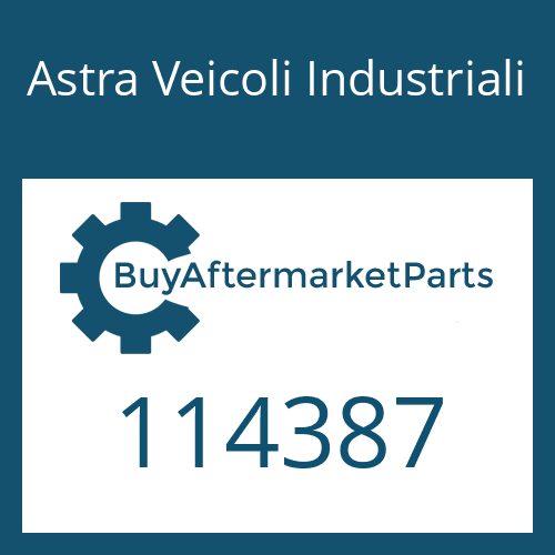 Astra Veicoli Industriali 114387 - SEALING RING KIT