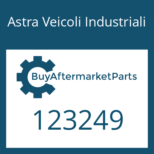 123249 Astra Veicoli Industriali VALVE LEVER