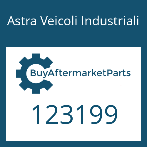 Astra Veicoli Industriali 123199 - SLIDING SLEEVE