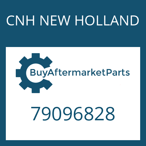 CNH NEW HOLLAND 79096828 - O-RING