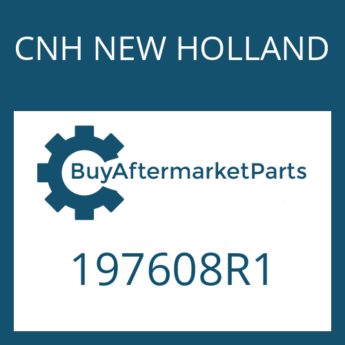 CNH NEW HOLLAND 197608R1 - OUTER RING