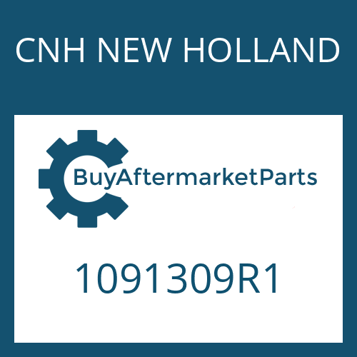 CNH NEW HOLLAND 1091309R1 - TYPE PLATE