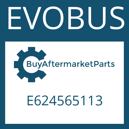 EVOBUS E624565113 - INTERMEDIATE WASHER
