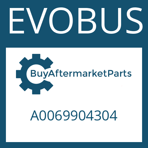 EVOBUS A0069904304 - LOCKING SCREW