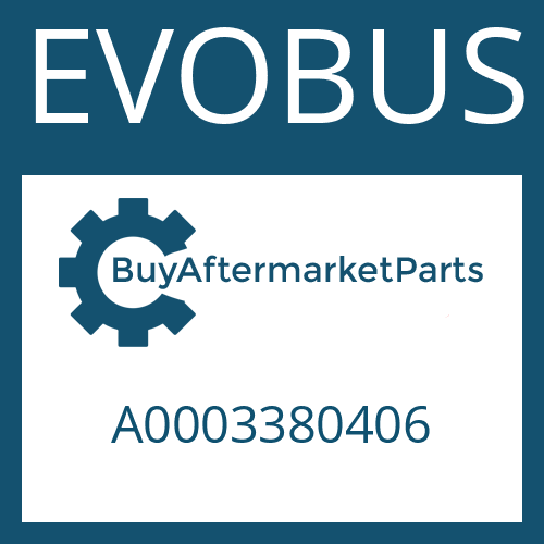 EVOBUS A0003380406 - TRACK LEVER