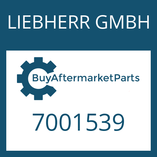   Thrust Washer