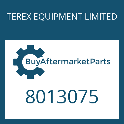 8013075 TEREX EQUIPMENT LIMITED SEALING RING