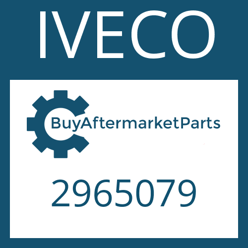 2965079 IVECO SLOTTED NUT