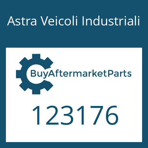 Astra Veicoli Industriali 123176 - GASKET