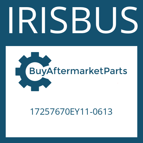 IRISBUS 17257670EY11-0613 - SLOTTED PIN