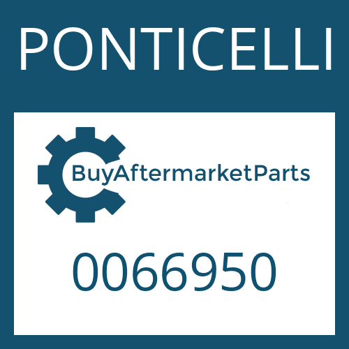 0066950 PONTICELLI WASHER