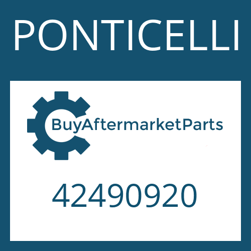 PONTICELLI 42490920 - WASHER