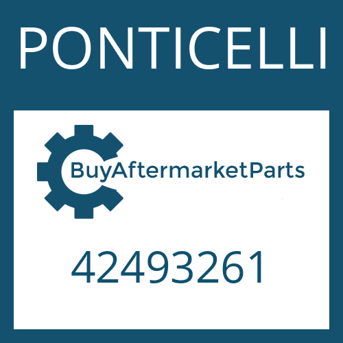 PONTICELLI 42493261 - WASHER