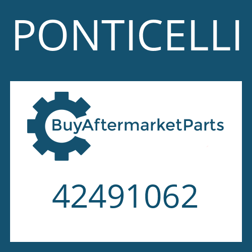 PONTICELLI 42491062 - WASHER